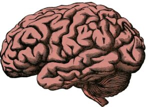 Neurocognitive Disorders: A Review