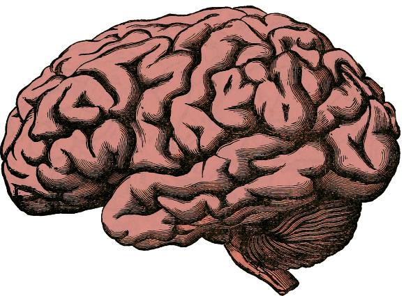 Neurocognitive Disorders: A Review
